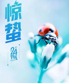 春雷响，万物长。仲春时节开始啦...