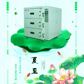 今日夏至【东边日出西边雨，道是无晴却有晴】】
